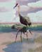 Sandhill Cranes
